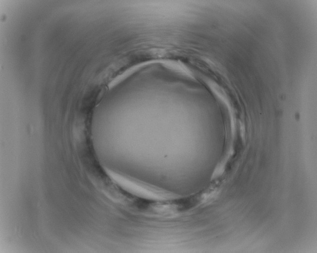 X0000071860221200607211925