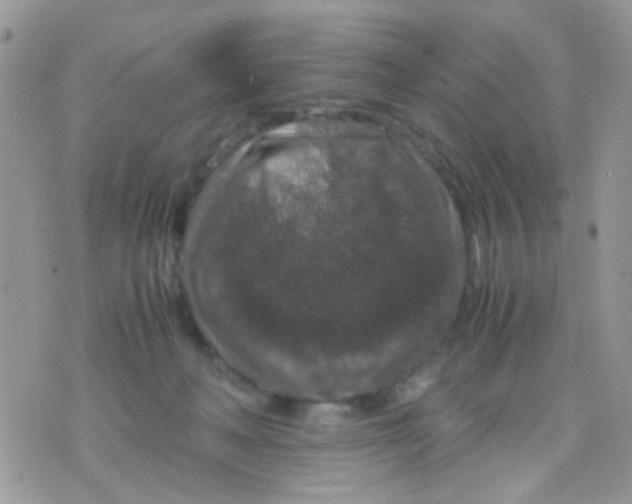 X0000071860222200607211925