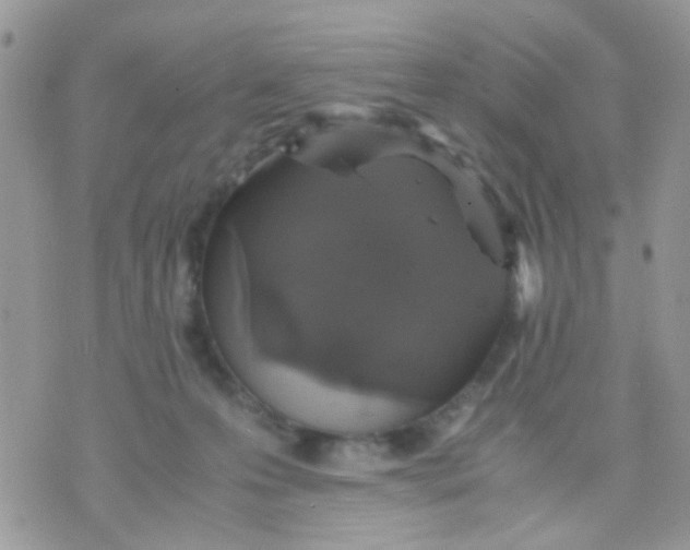 X0000071860223200607211925