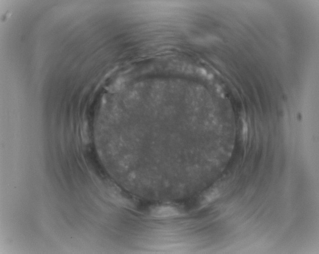 X0000071860224200607211925