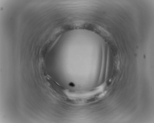 X0000071860225200607211925