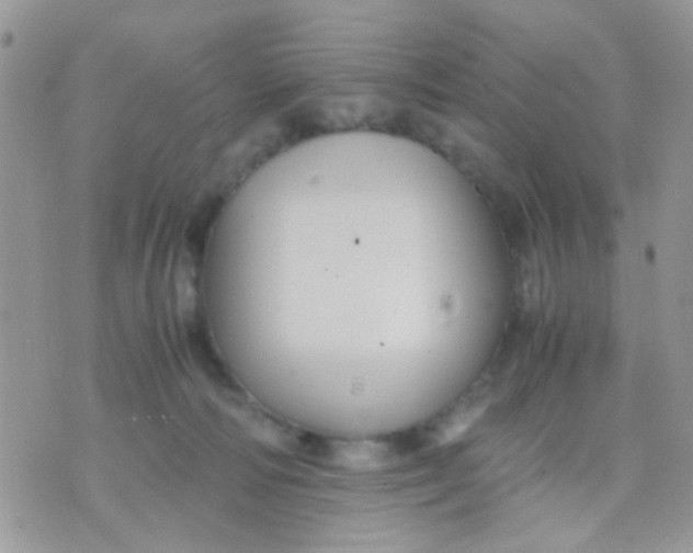 X0000071860226200607211925