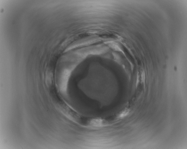 X0000071860227200607211925