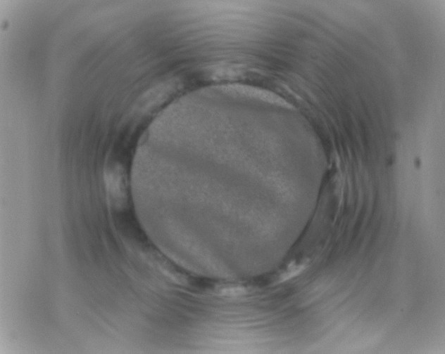 X0000071860228200607211925