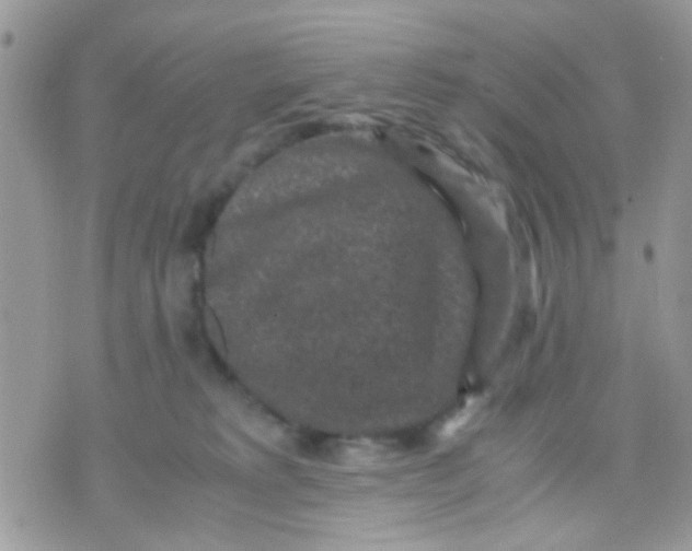 X0000071860229200607211925