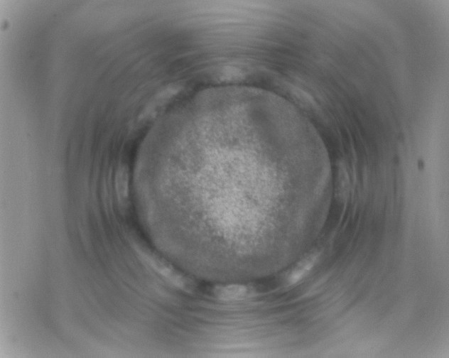 X0000071860230200607211925