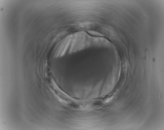 X0000071860231200607211925