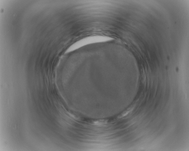 X0000071860232200607211925