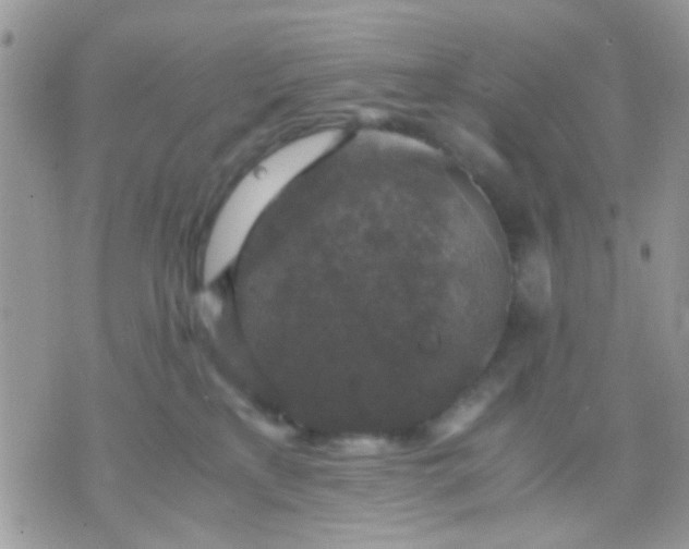 X0000071860233200607211925