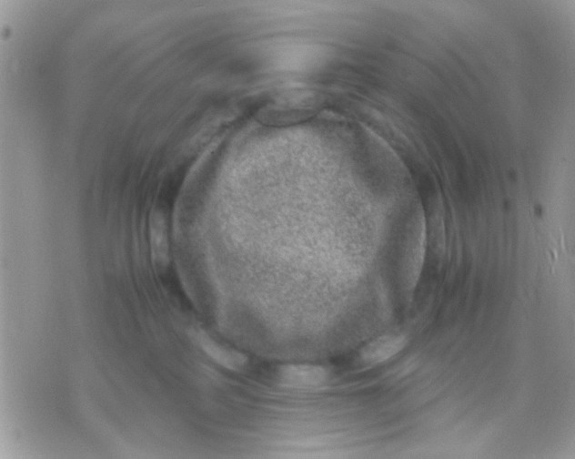 X0000071860234200607211925