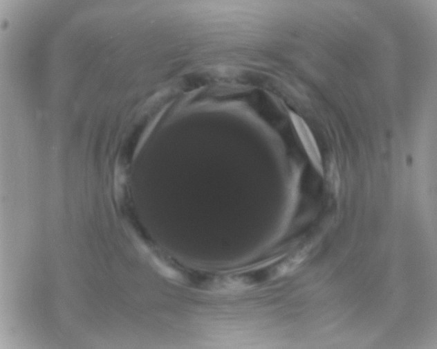 X0000071860235200607211925