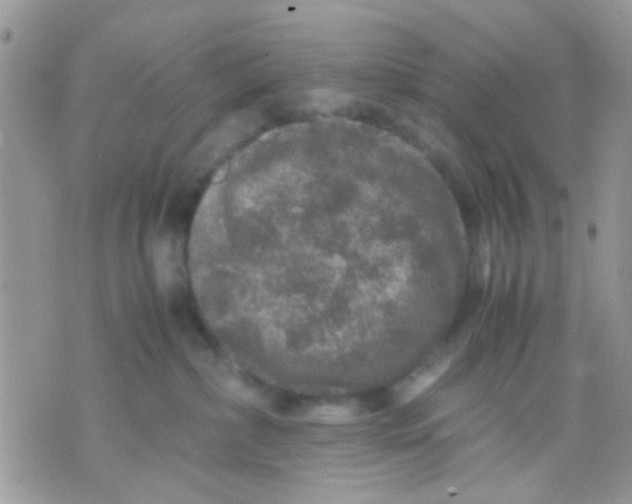 X0000071860236200607211925