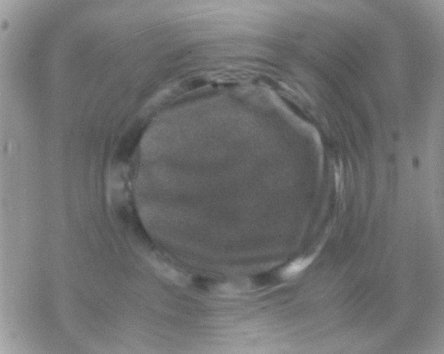 X0000071860237200607211925