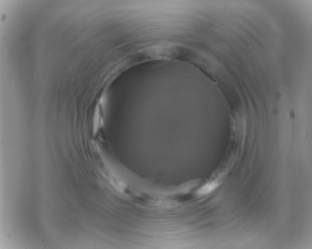 X0000071860239200607211925