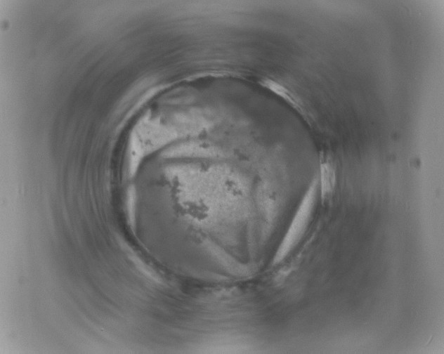 X0000071860243200607211924