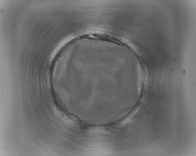 X0000071860244200607211924