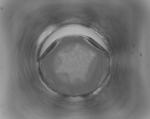 X0000071860245200607211924