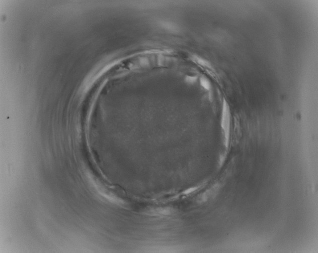 X0000071860247200607211924