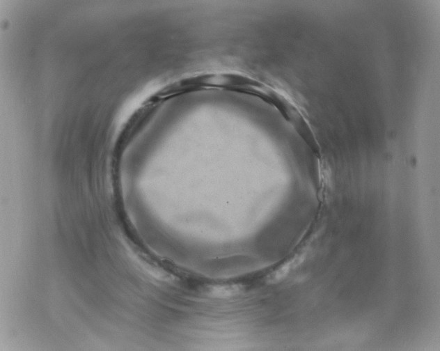 X0000071860248200607211924