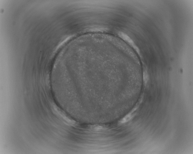 X0000071860249200607211924