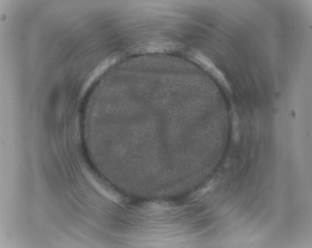 X0000071860250200607211924