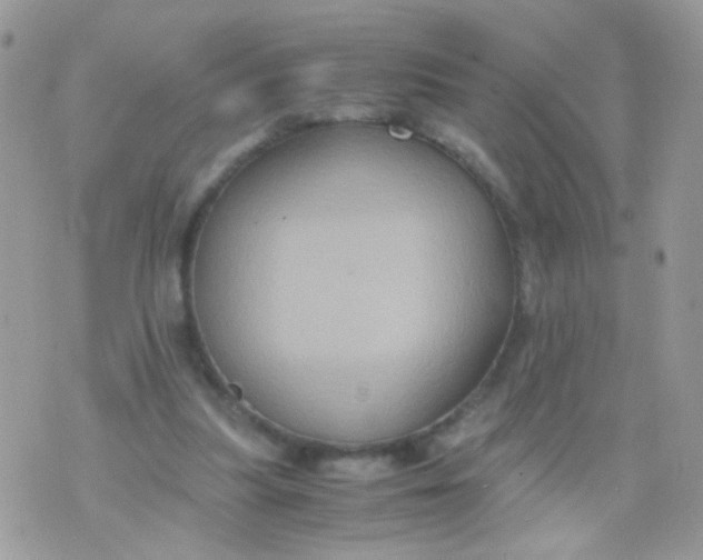 X0000071860251200607211924