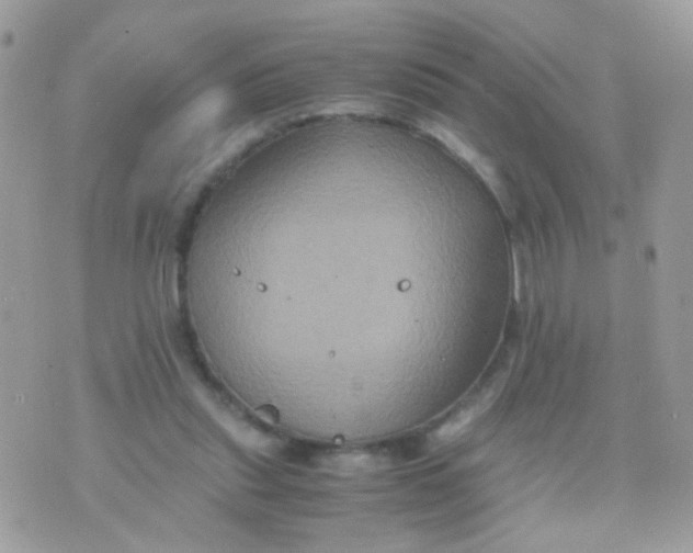 X0000071860253200607211924