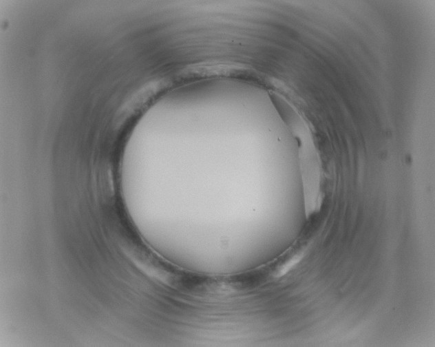 X0000071860254200607211924