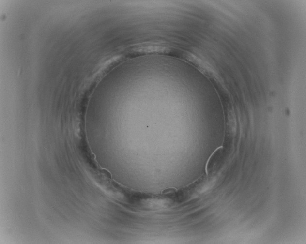 X0000071860255200607211924