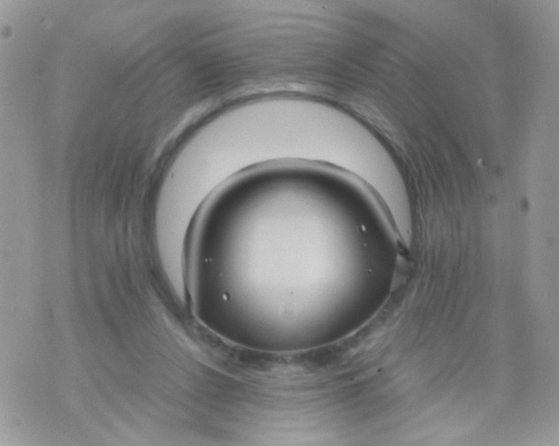 X0000071860256200607211924