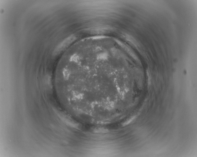 X0000071860258200607211924