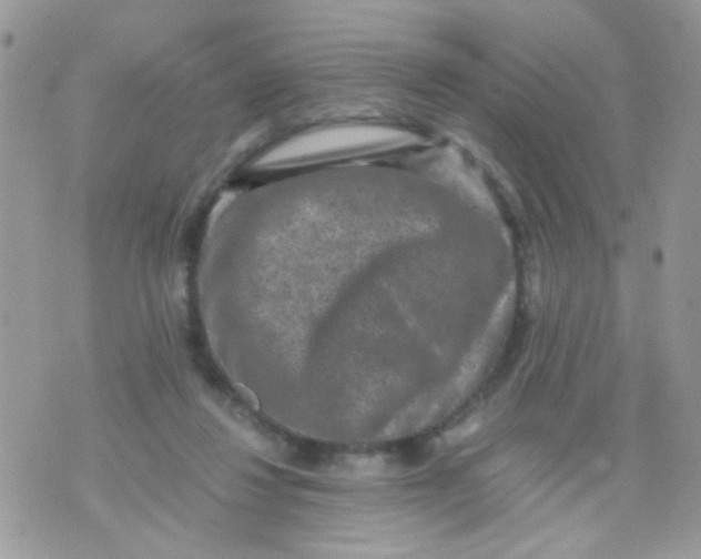 X0000071860260200607211924