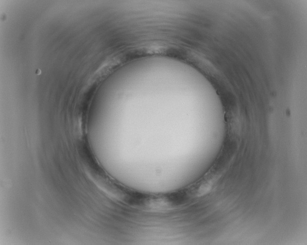 X0000071860262200607211924