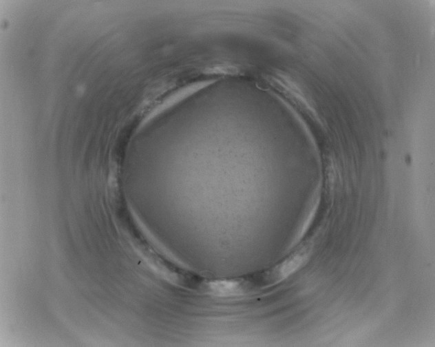 X0000071860265200607211924