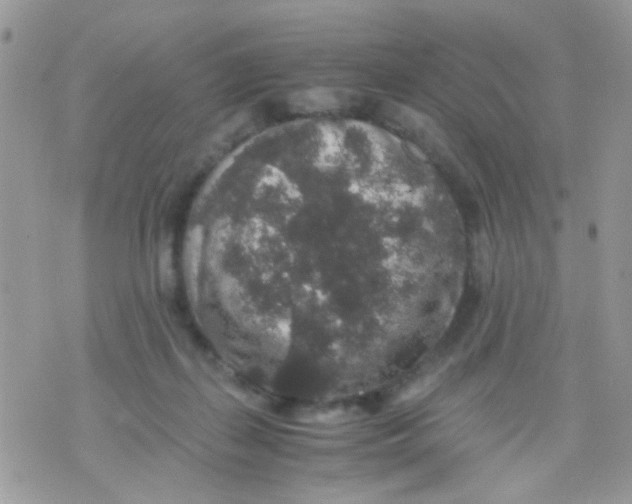 X0000071860267200607211924