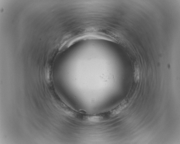 X0000071860268200607211924