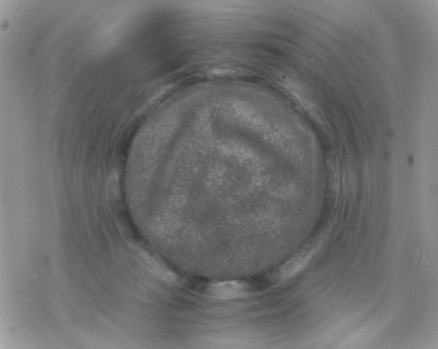 X0000071860269200607211924