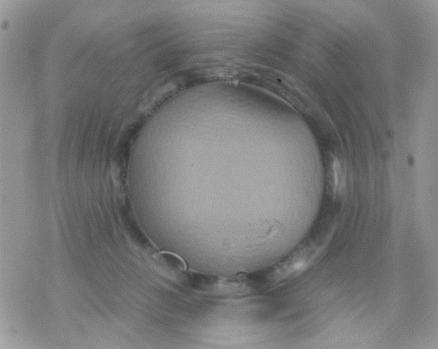 X0000071860270200607211924