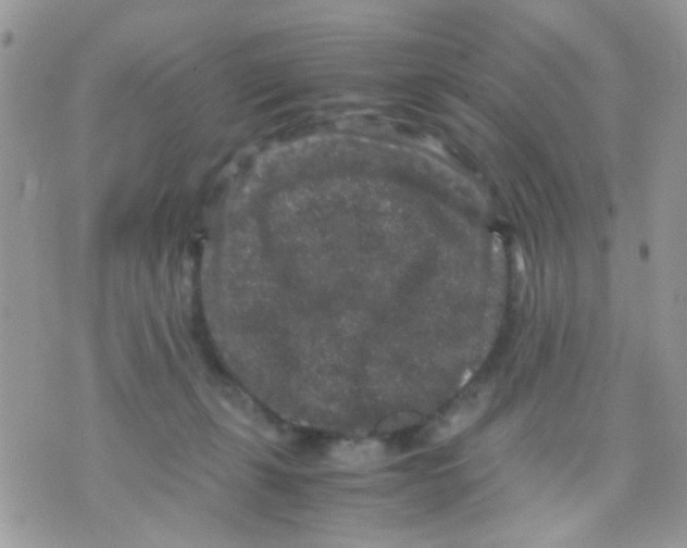 X0000071860271200607211925