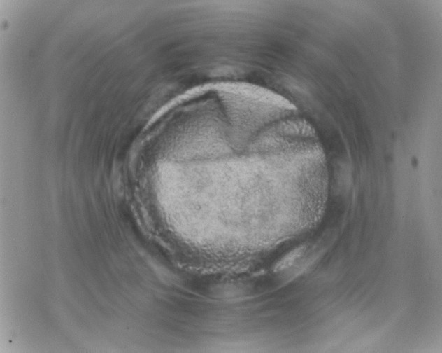 X0000071860273200607211925