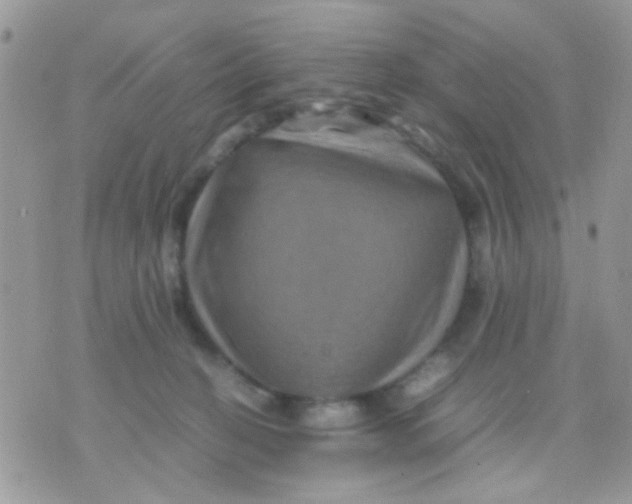 X0000071860274200607211925