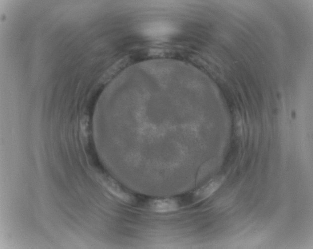 X0000071860275200607211925