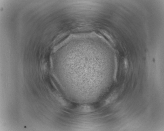 X0000071860276200607211925