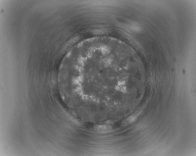 X0000071860277200607211925