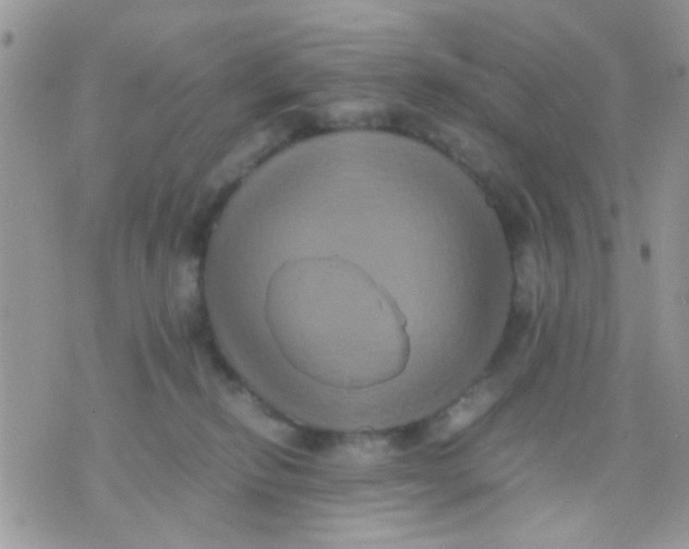 X0000071860278200607211925