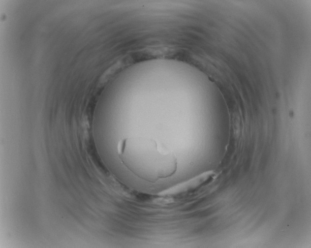 X0000071860279200607211925