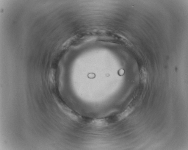 X0000071860280200607211925