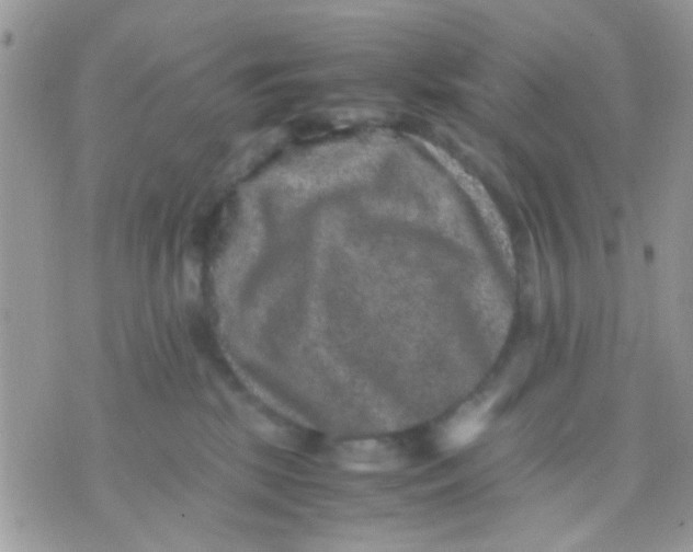 X0000071860281200607211925