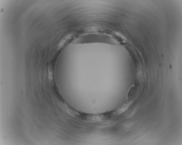 X0000071860282200607211925