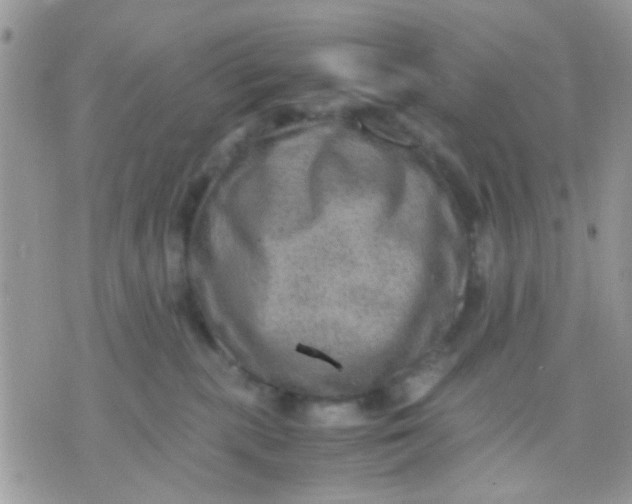 X0000071860283200607211925